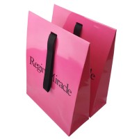 Wedding Or Birthday Favor Fancy Gift Paper Packaging Bag Wholesale